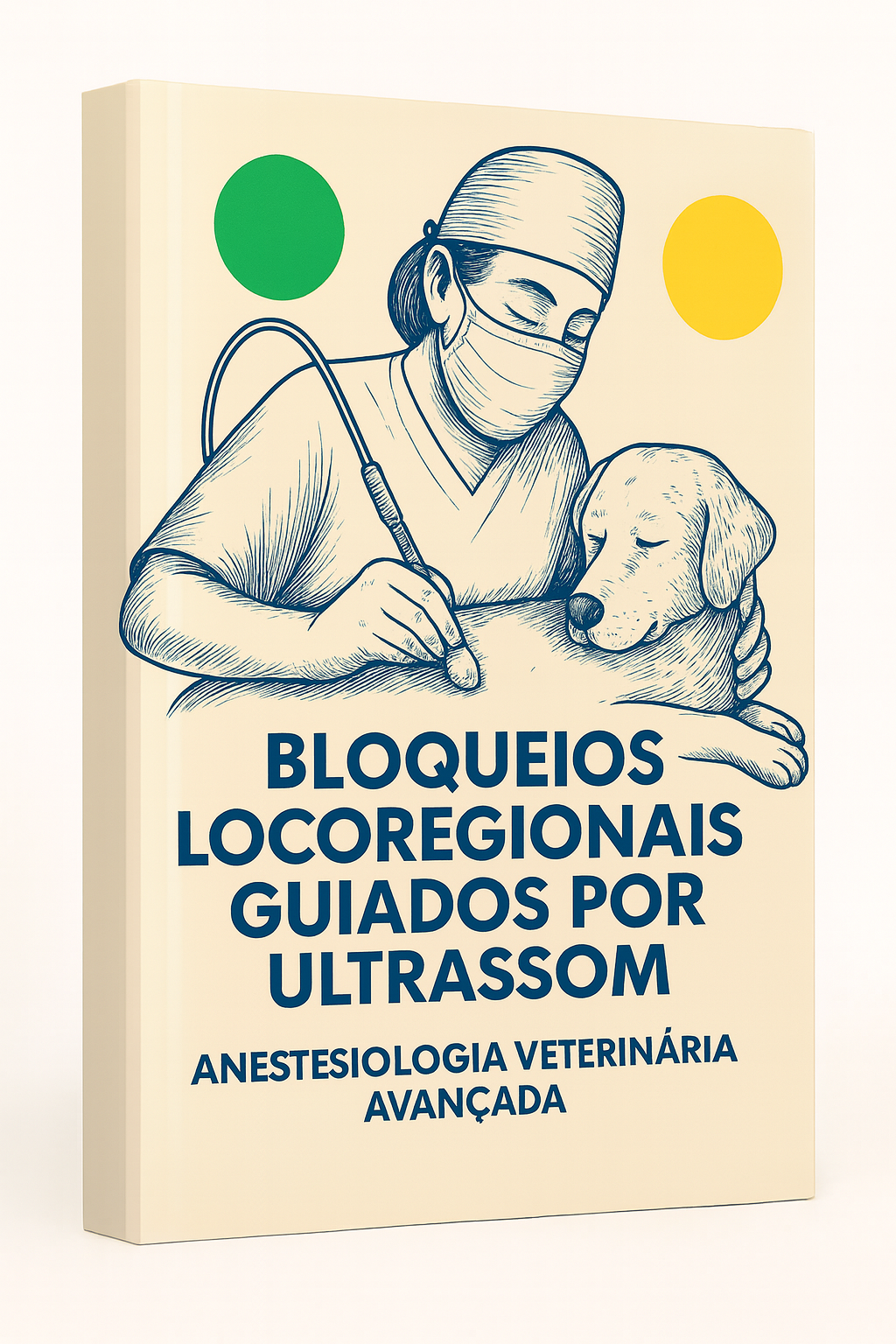 Capa E-book Bloqueios Locorregionais