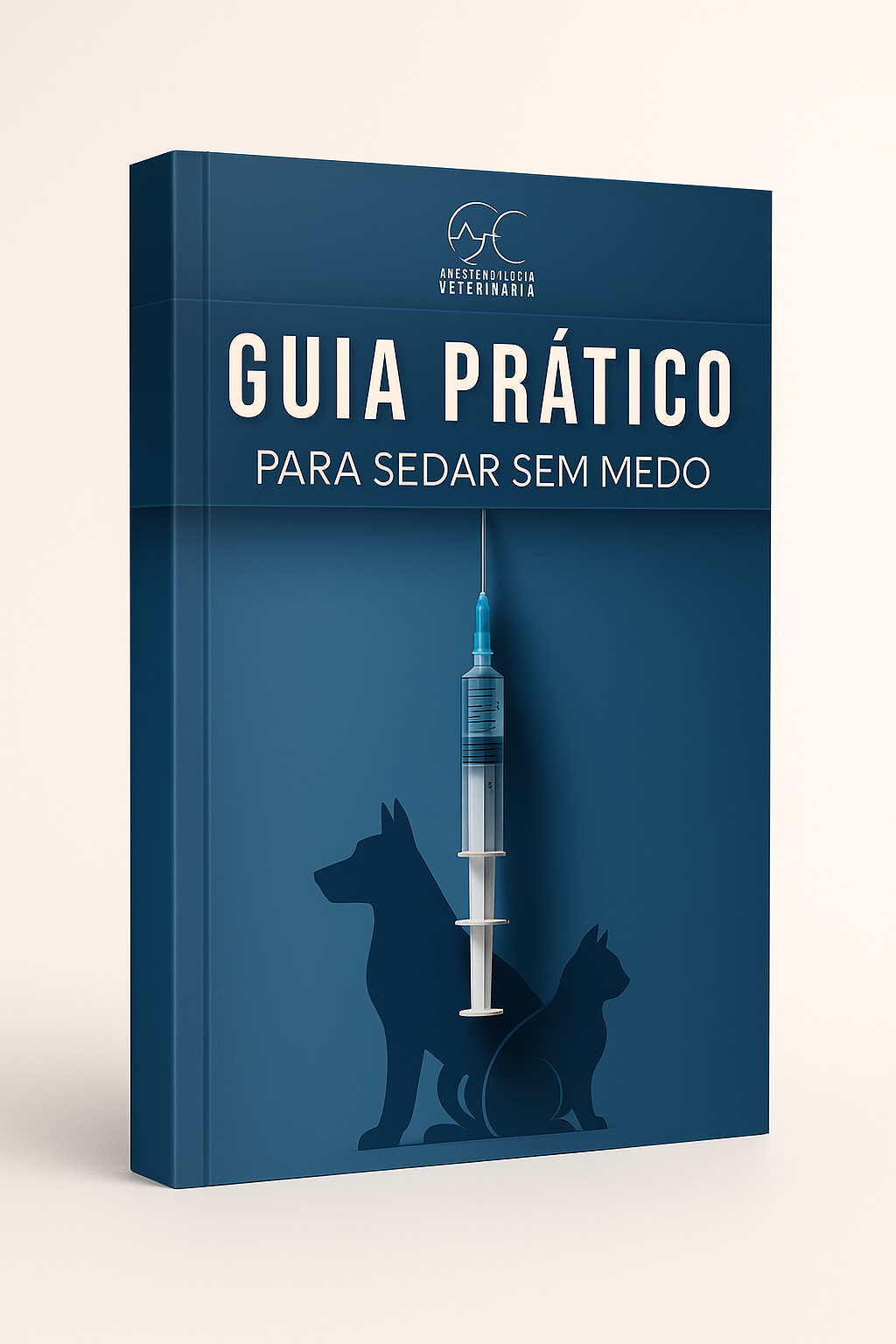 Capa E-book Guia Prático
